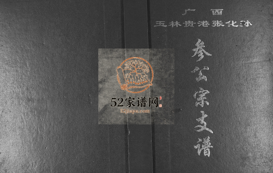广西玉林贵港张化孙参公宗支谱2002年修 完整电子版家谱下载