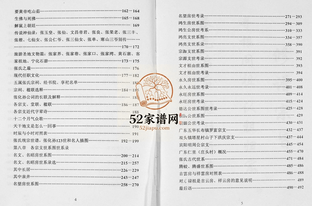 广西玉林贵港张化孙参公宗支谱2002年修 完整电子版家谱下载