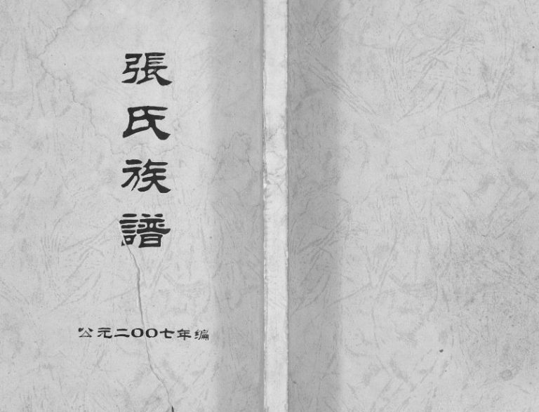 张氏宗谱2007年修 广西平乐张氏电子版家谱下载