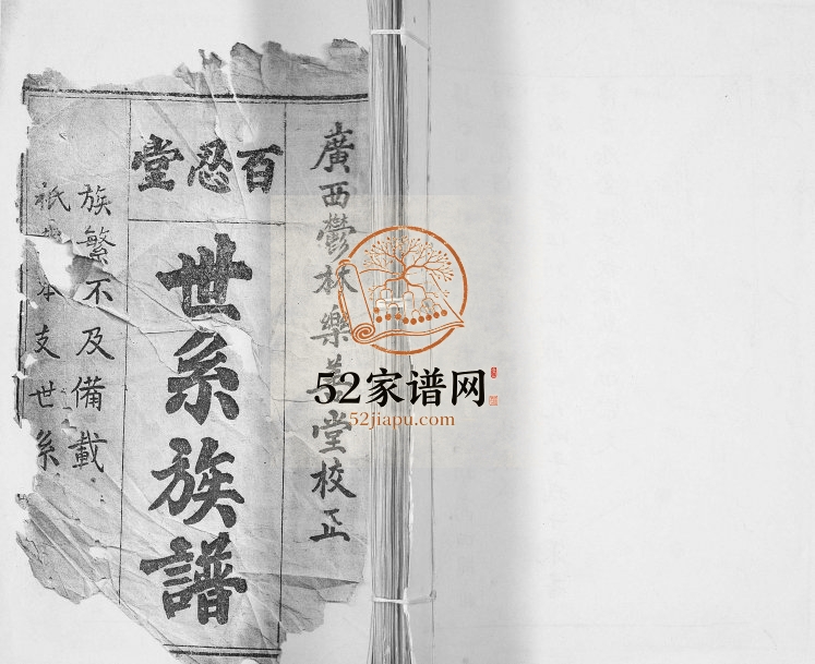张氏家谱1943年修 广西宾阳百忍堂 乐善堂张氏电子版家谱下载