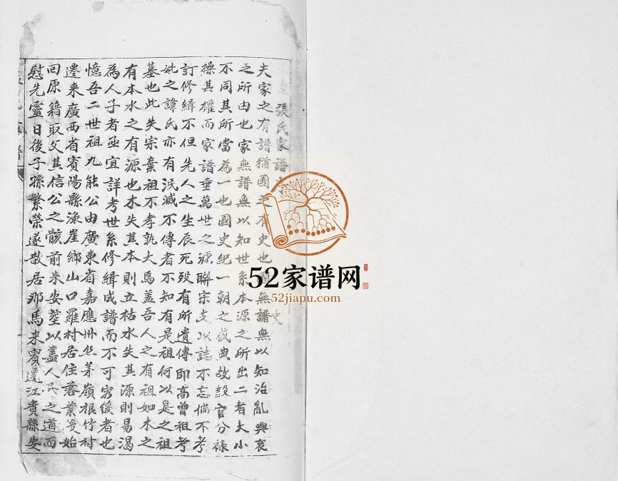 张氏家谱1943年修 广西宾阳百忍堂 乐善堂张氏电子版家谱下载