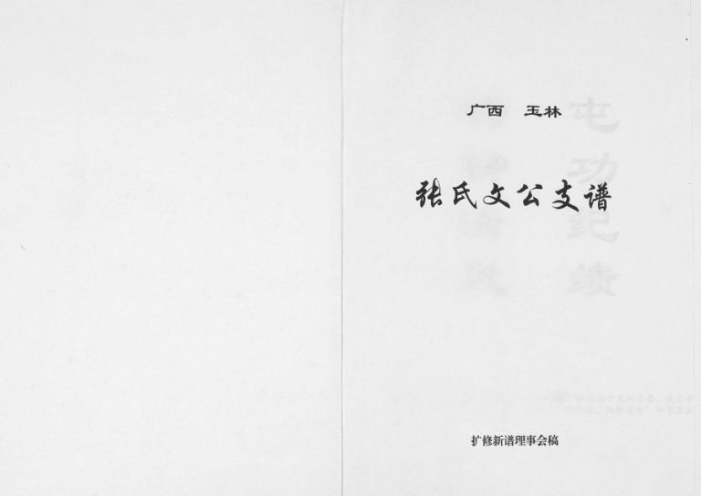 广西玉林张氏文公支谱2002年修完整电子版家谱下载