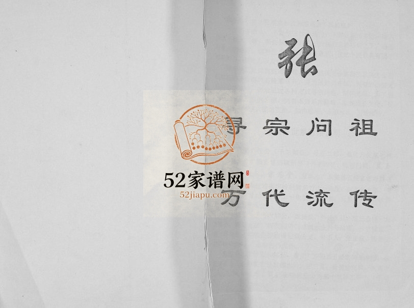 张氏族谱2009年修 广西贺州市张氏电子版家谱下载