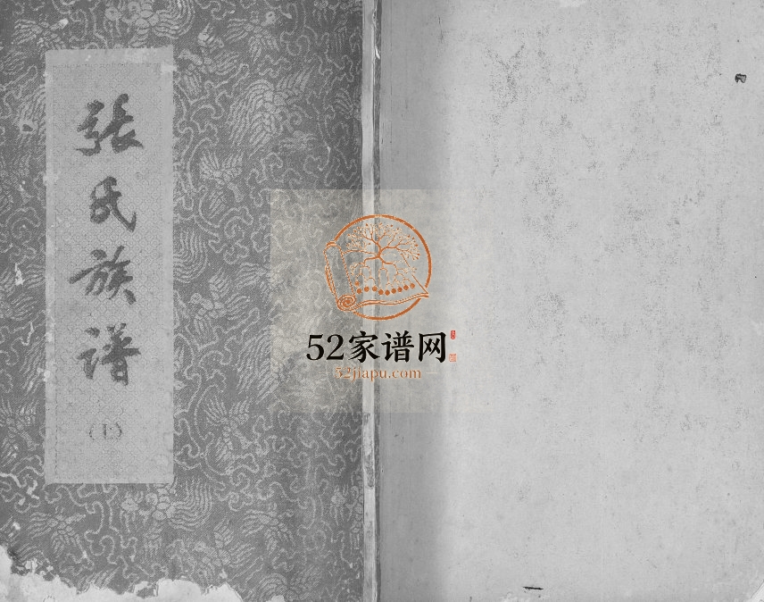 张氏族谱[2卷]1992年修 广西博白张美家族电子版家谱下载