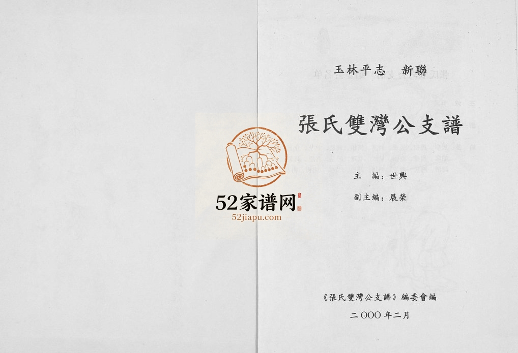 玉林平志张氏双湾公支谱2000年修 完整电子版家谱下载