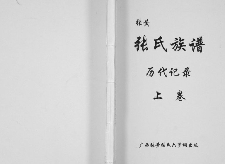 张黄张氏族谱[3卷]2009年修 广西浦北张氏电子版家谱下载