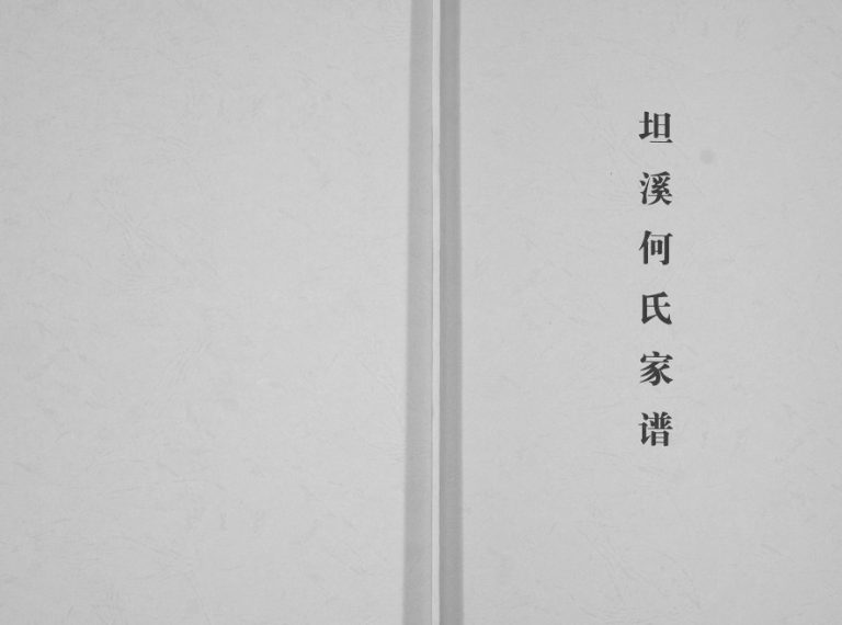 坦溪何氏家谱[不分卷]1928年修 广西灌阳何氏电子版家谱下载