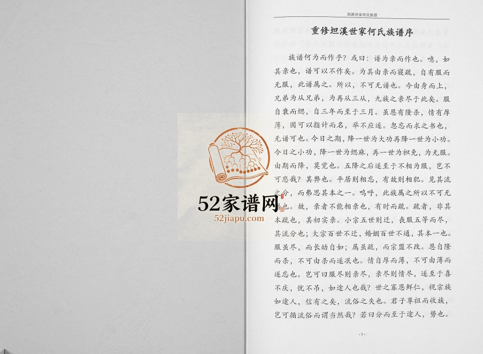 坦溪何氏家谱[不分卷]1928年修 广西灌阳何氏电子版家谱下载