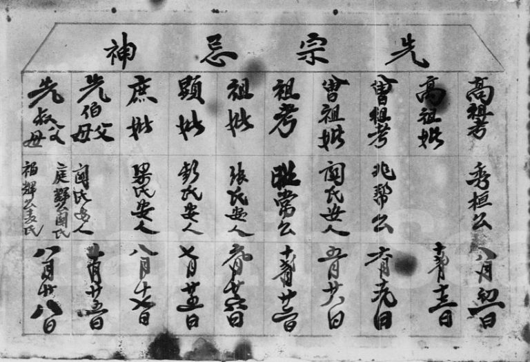 胡氏族谱 广西桂林安定堂胡氏电子版家谱下载