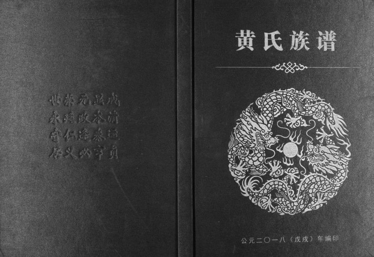 黄氏族谱世奇公（号）态恭宗支世系2018年修 广西南宁黄氏电子版家谱下载