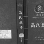 高氏族谱入桂始祖府琨公下三代文振公支系2013年修 广西浦北渤海堂完整电子版家谱下载