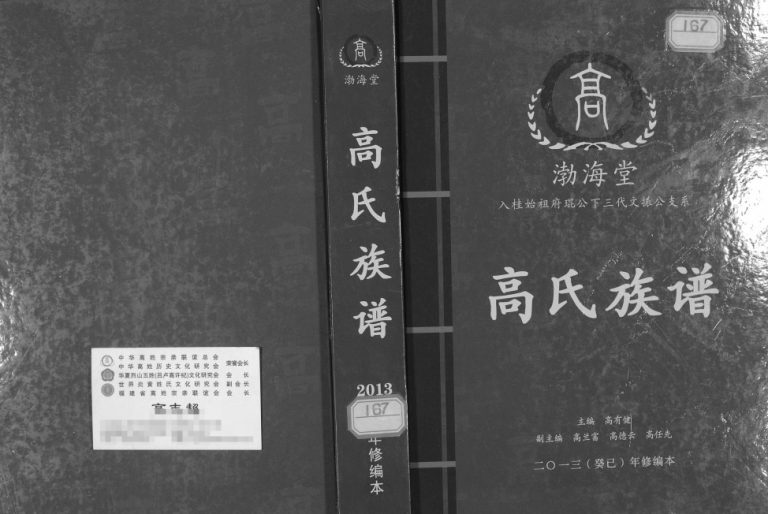 高氏族谱入桂始祖府琨公下三代文振公支系2013年修 广西浦北渤海堂完整电子版家谱下载