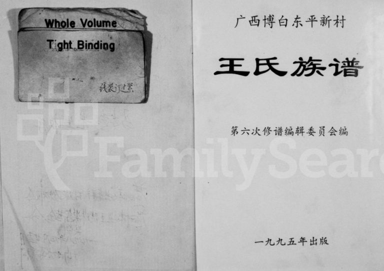 广西博白东平新村王氏族谱1995年六修 完整电子版家谱下载