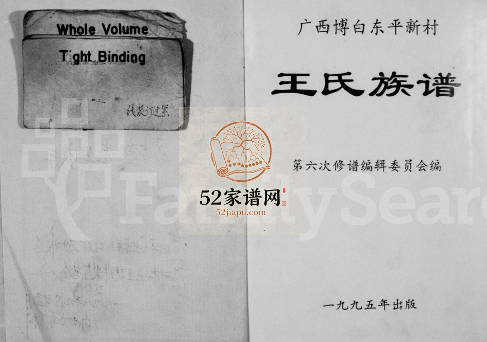 广西博白东平新村王氏族谱1995年六修 完整电子版家谱下载