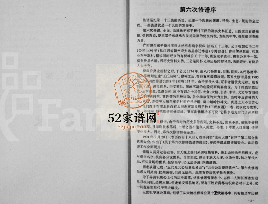 广西博白东平新村王氏族谱1995年六修 完整电子版家谱下载