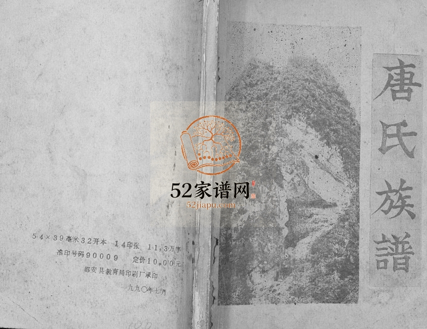 唐氏族谱[不分卷]1990年修 广西都安唐氏电子版家谱下载