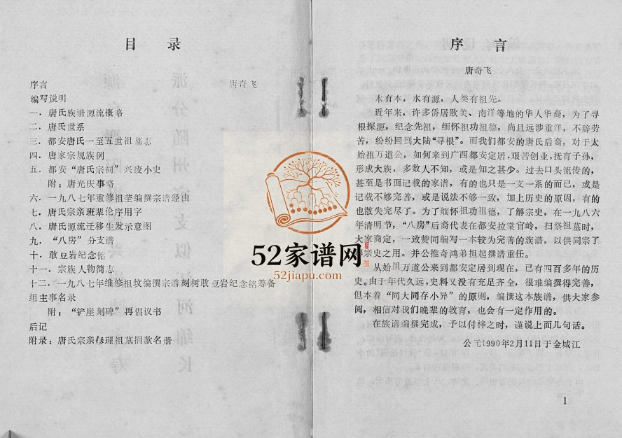 唐氏族谱[不分卷]1990年修 广西都安唐氏电子版家谱下载