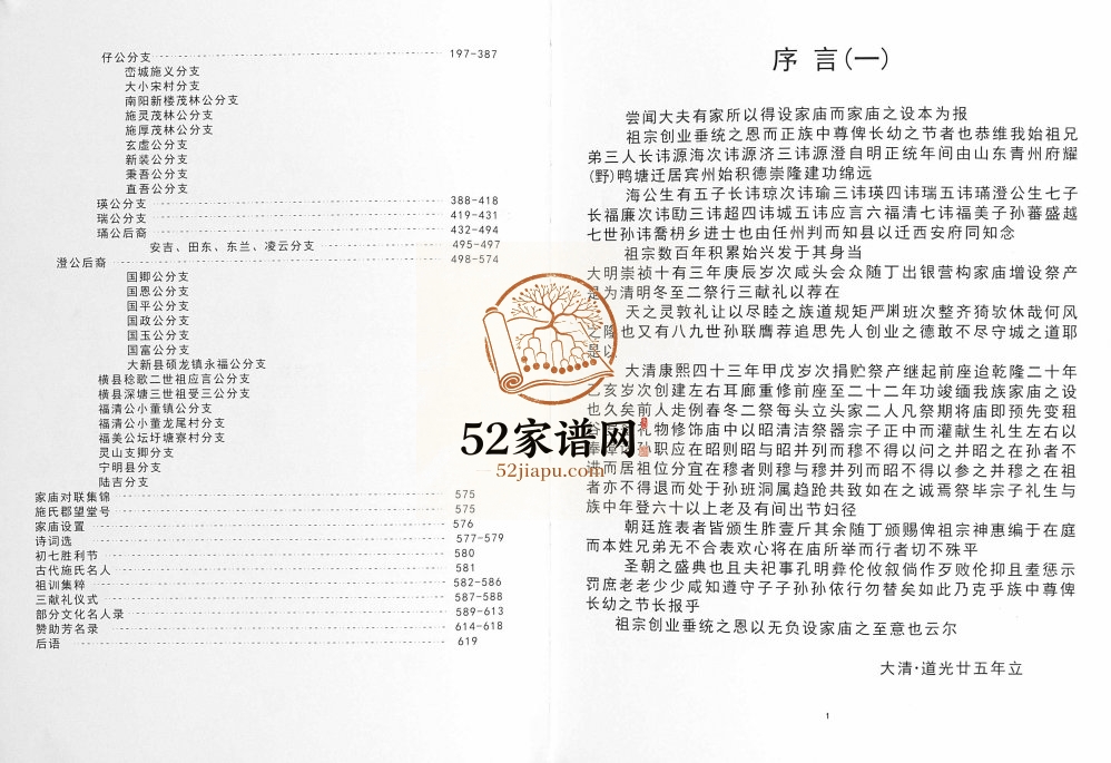 施氏族谱2013年修 广西宾阳施氏电子版家谱下载