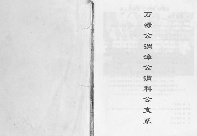 潘氏族谱万禄公渭漳公渭科公支系2004年修 广西容县潘氏电子版家谱下载