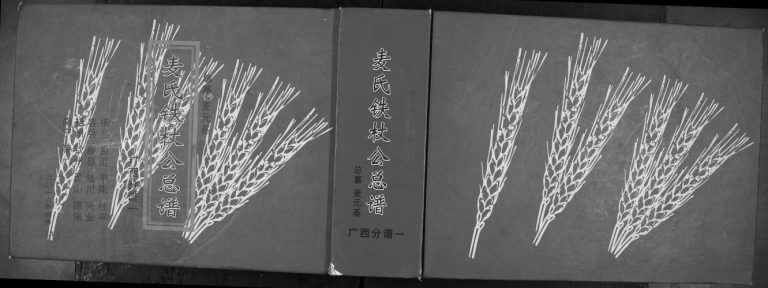 麦氏铁杖公总谱广西分谱一2016年修 广西横州麦氏电子版家谱下载