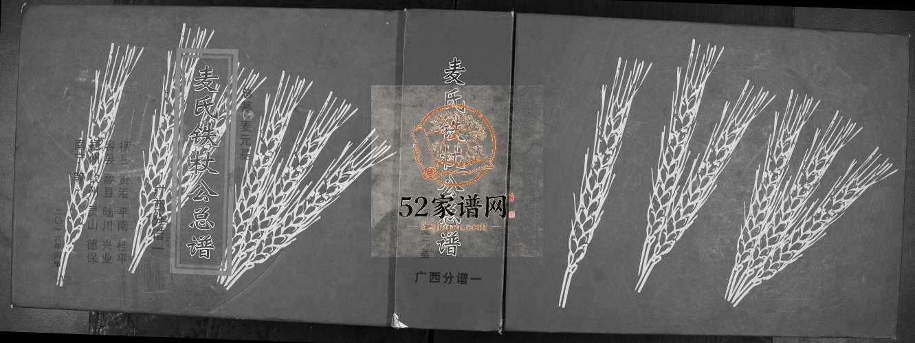 麦氏铁杖公总谱广西分谱一2016年修 广西横州麦氏电子版家谱下载