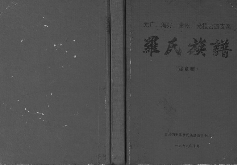 罗氏族谱元广 海好 贵松 光松公四支系1999年修 广西南宁豫章郡罗氏电子版家谱下载