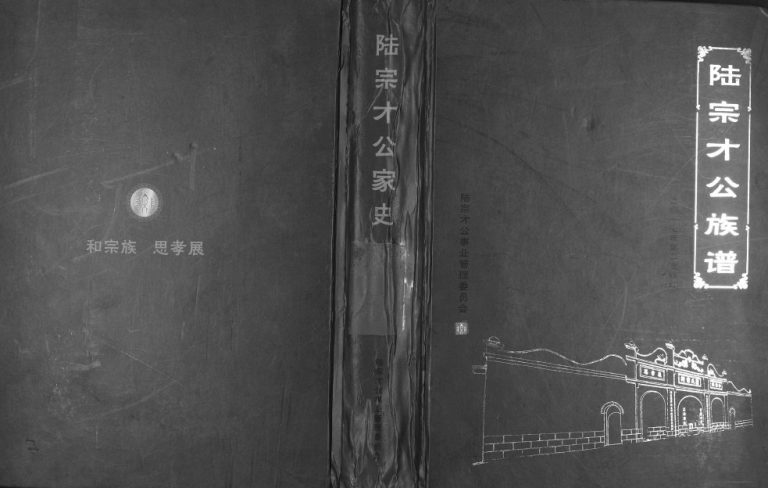 2017年修陆宗才公族谱 广西江南陆德晟仁永、仁宗-道刚公宗支谱 陆宗才公家史电子版家谱下载