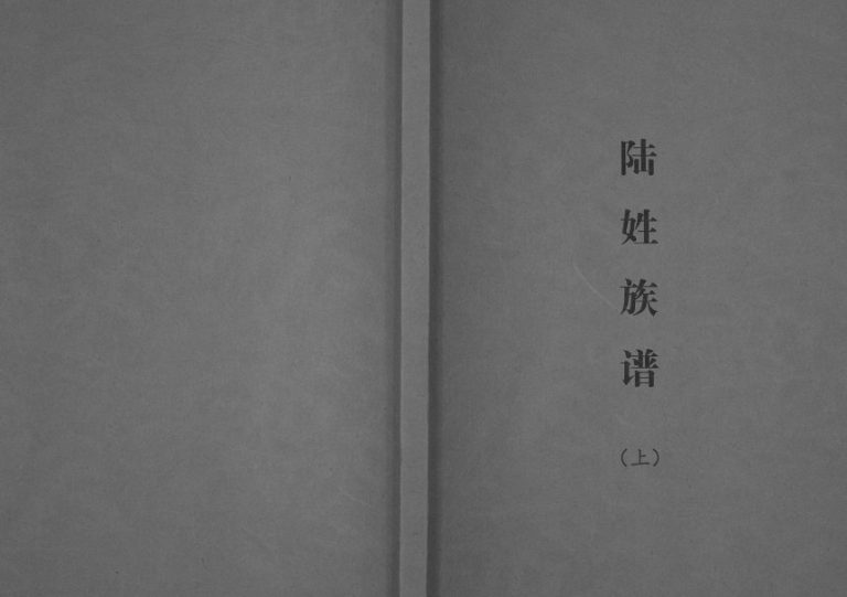 陆姓族谱2010年修 广西南宁子陆金公 陆玉公支系完整电子版家谱下载