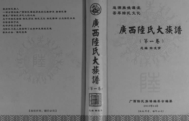 2015年修广西陆氏大族谱[6卷] 南宁陆氏完整电子版家谱下载