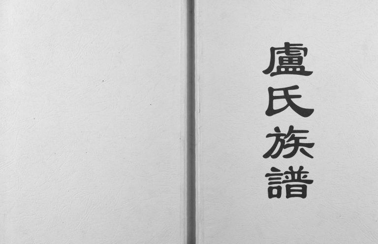 2017年修卢述族谱广西卢氏概况完整电子版家谱下载