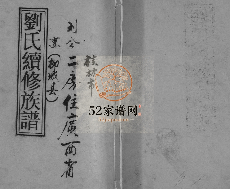 1994年修刘氏续修族谱[不分卷]广西柳州市刘公二房完整电子版家谱下载