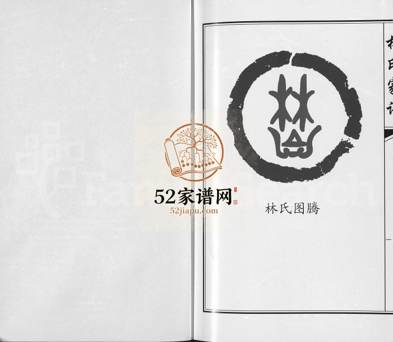 2013年修林氏家谱靖西县荣劳街双桂堂 完整电子版家谱下载