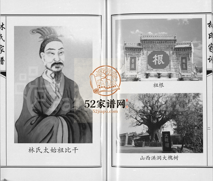 2013年修林氏家谱靖西县荣劳街双桂堂 完整电子版家谱下载