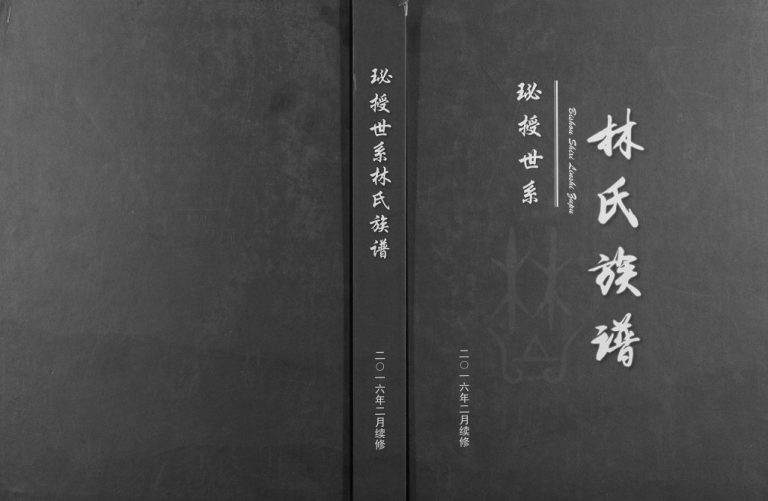 2016年修珌授林氏族谱[6卷]广西全州 灌阳 恭城 鹿寨 横州 湖南东安林氏电子版家谱下载