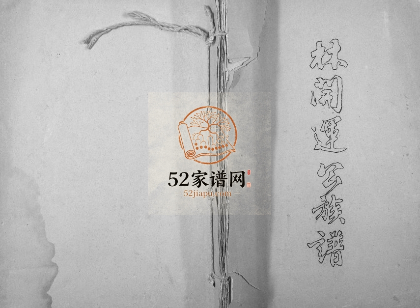 1990年修林开运公族谱 广西陆川林氏完整电子版家谱下载