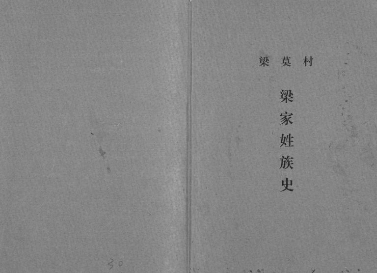 1994年修梁莫村梁家姓族史[不分卷]广西罗城梁氏完整电子版家谱下载