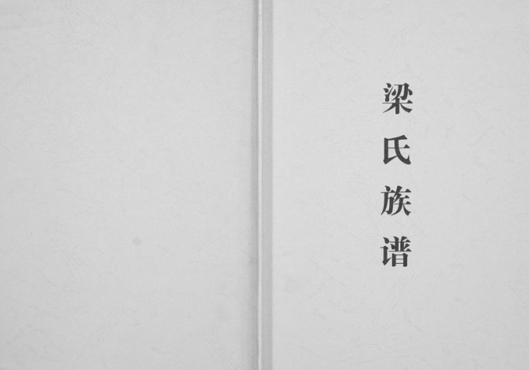 2015年修梁氏宗谱[不分卷]广西三江斗江镇安定堂完整梁氏电子版家谱下载