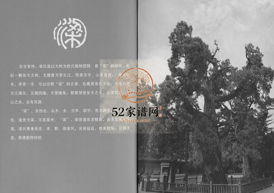 2017年修梁氏五百年家谱广西玉林莲塘梁氏电子版家谱下载