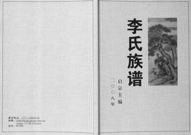 2008年修容县罗江镇岑冲村李赵湖公族谱 李氏完整电子版家谱下载