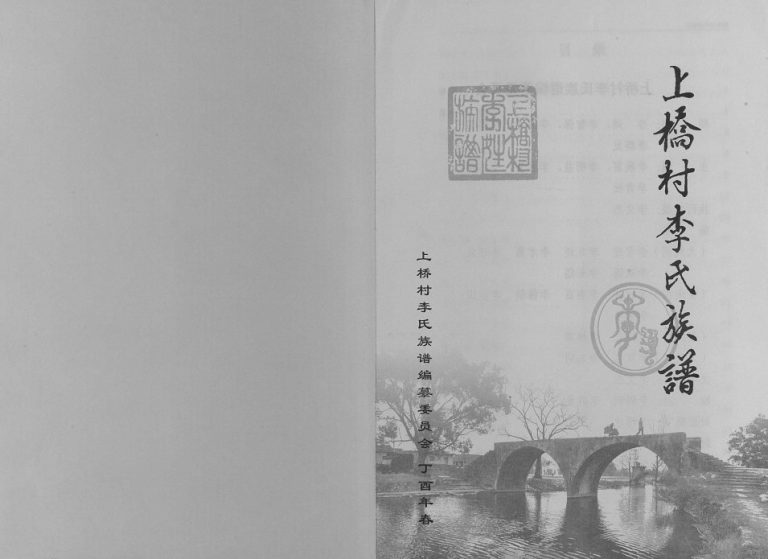 2017年修上桥村李氏族谱 广西桂林李氏电子版家谱下载