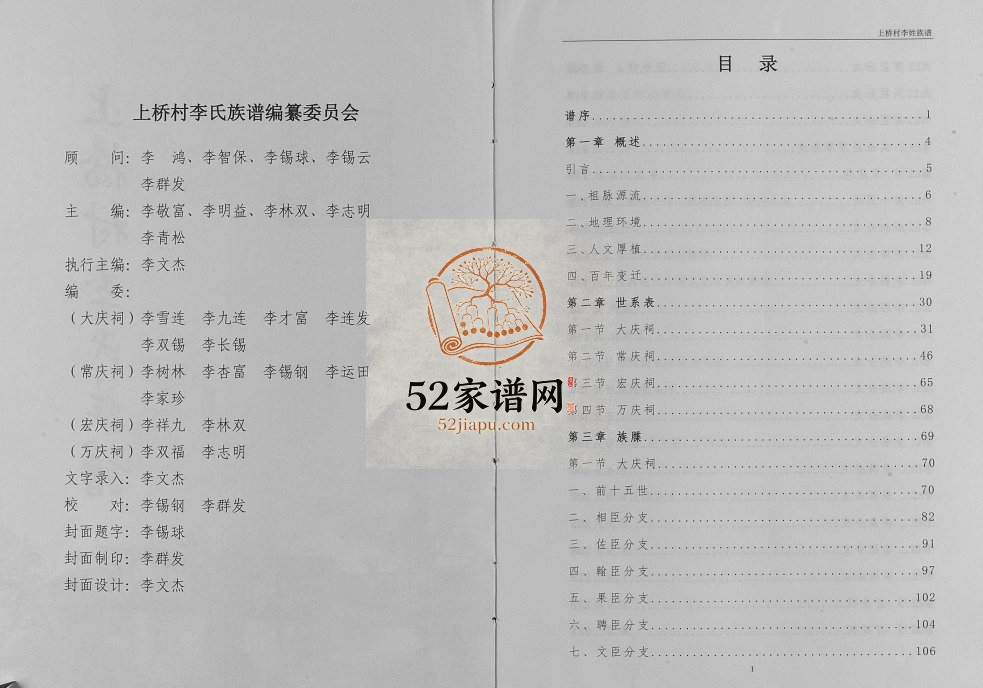 2017年修上桥村李氏族谱 广西桂林李氏电子版家谱下载