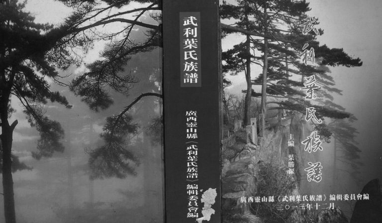2013年修武利叶氏族谱[不分卷]广西灵山叶氏电子版家谱下载