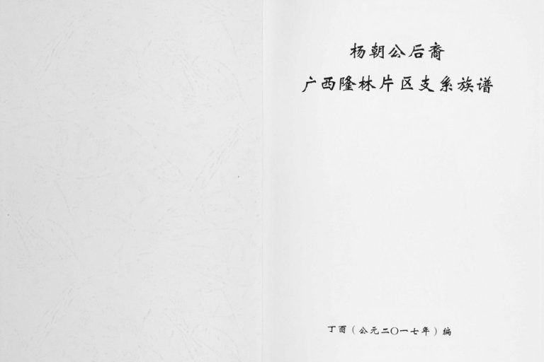 2017年修杨朝公后裔广西省隆林片区支系族谱 广西百色杨氏完整电子版家谱下载