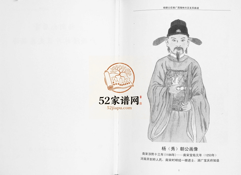 2017年修杨朝公后裔广西省隆林片区支系族谱 广西百色杨氏完整电子版家谱下载