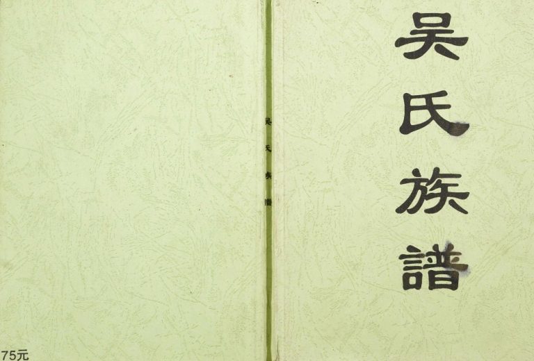 2015年修山姜坑吴氏族谱 广西贵港吴氏电子版家谱下载