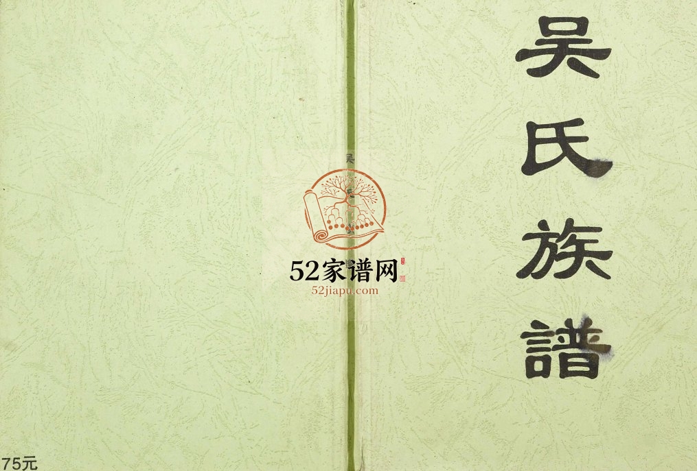 2015年修山姜坑吴氏族谱 广西贵港吴氏电子版家谱下载