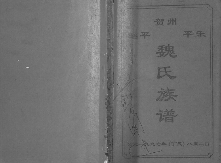 1997年修昭平 贺州 平乐魏氏族谱 广西贺州市魏氏彦彬公 天英公宗支完整电子版家谱下载