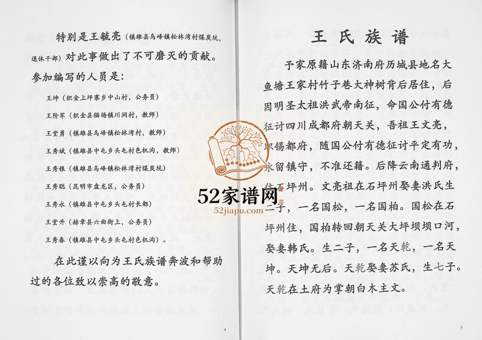2008年修贵州毕节云南镇雄王氏族谱[不分卷]完整电子版家谱下载