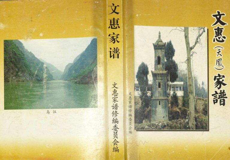 2008年修文惠(天凤)家谱 贵州 重庆文氏堂完整电子版家谱下载