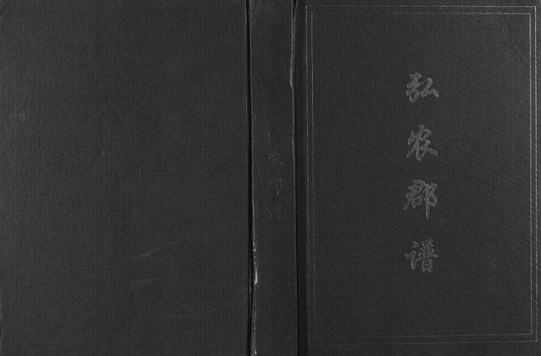 2011年修杨氏弘农郡谱 贵州仁怀杨氏完整电子版家谱下载